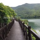 일억조가든 - 남양주시 화도읍 | 완도여행 완도 수목원 산책하며 즐기는 자연~