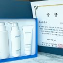 북두칠성반점 이미지