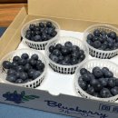 블루베리 살 때 &#34;가격보단 이것 보세요&#34; 항산화성.. 이미지