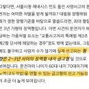 변호사:서울시청 9명 사망사건 역주행 가해자 형량은2-3년 예상 이미지