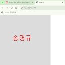 VSCODE에서 P5.JS 개발환경 구축하기 이미지