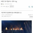 너의아파트 이미지