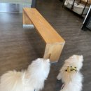 말바우동물병원 이미지