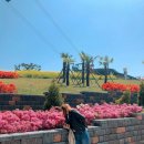 대교카삽 이미지