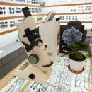 원앤원안경 이미지