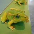 안터생태공원 이미지