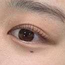 [솔이눈/solenoon] 🪴💭 다시 재방문하게 되는 제주속눈썹 리뷰 후기