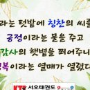 서오태권도 이미지