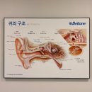 시그니아독일보청기강릉센터