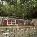 필오토 | 화성 캠핑장 추천 | 필캠핑장 B12 사이트 솔직후기🏕️