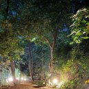 11월 15~16일(토.일) 안양 캠핑장 이미지