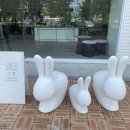 소월카페 이미지