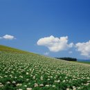 아동심리상담사 이미지