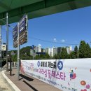 자라섬 주차장 | 2024 가평 여행 자라섬 꽃 페스타 입장료 주차장 꽃구경 후기