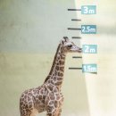 한울마루 이미지