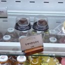 광릉내 애견 이미지