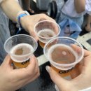 카스 | [2026카스쿨]비 오는 날 다녀온 카스쿨 페스티벌 후기🍺