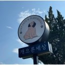 애견세상 이미지