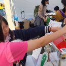 호수초교 이미지