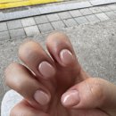 오하요네일 이미지