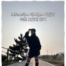 파텔라 | 프로스펙스 퍼포먼스 파텔라 슬개골 무릎 보호대 착용 후기, 러닝할 때 가볍게 쓰기 좋았어요