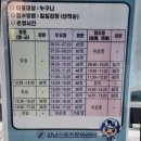 스포츠문화센터앞 | [강남 수영장] 서울 강남 수서역 자유수영 가능한 역세권 수영장, 강남스포츠문화센터 솔직후기