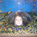 우주펜션 이미지