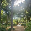 경기도 수원시 권선구 덕영대로1207번길 26-6 이미지