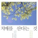지음 티스토리