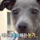 이쁨