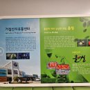 올씽
