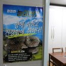 동굴펜션
