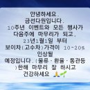 금선다원