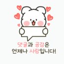 주식회사 생명나무