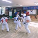 용호태권도 이미지