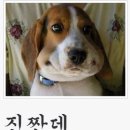 항방양꼬치 - 강남구 선릉로64길 15-7 | 항방양꼬치