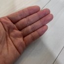 헤씨드