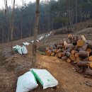 영하농장 이미지