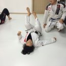 연성주짓수