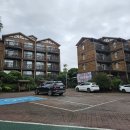 제주리조트 | 제주 애월 수영장 숙소 다인리조트 조식 후기