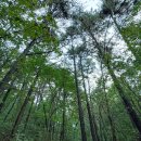 보납산 입구 화장실 이미지