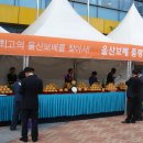 울산원예농협하나로마트 이미지