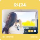 주식회사 미루 | 요나고 택시투어, 가성비 좋은 코스 추천