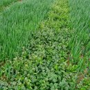 혜은농장 이미지