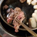 금수고기