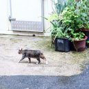 STAY Guest house 이미지