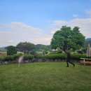 학하민박 이미지