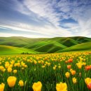 감천의 영웅들 | 숨은 명소 발굴과 상품화 전략: 히든 젬 발견, 현지인 추천을 넘어