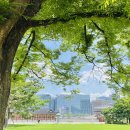 기아자동차주식회사 이미지