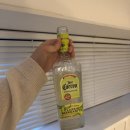 펜션 포레스트 이미지